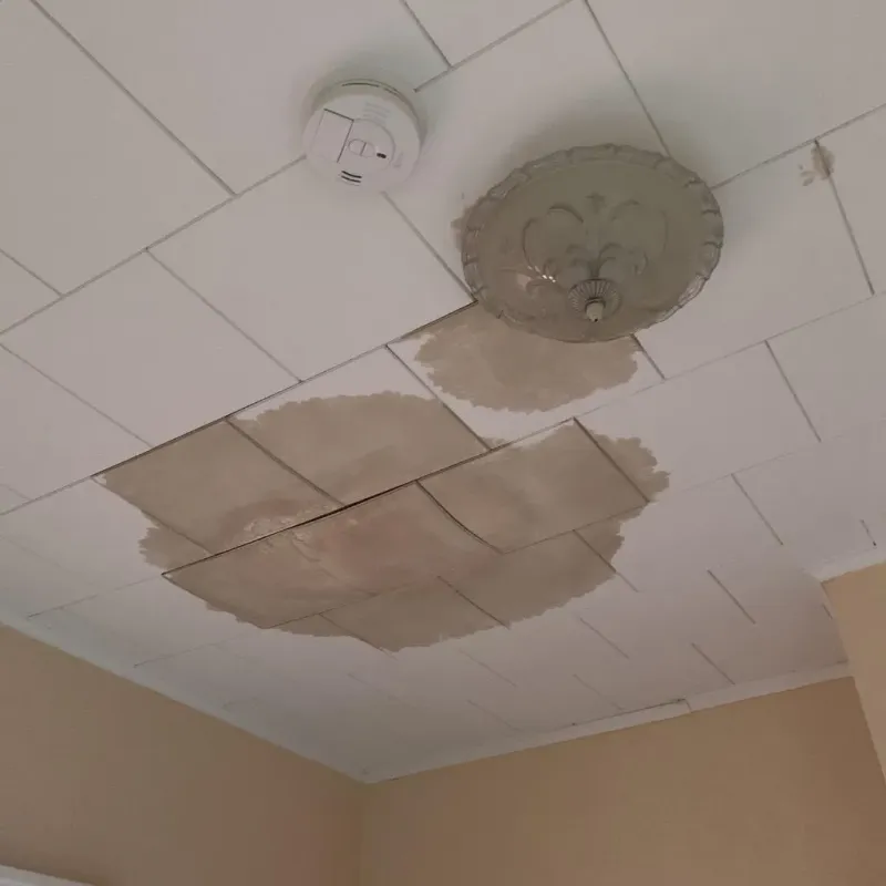 Ceiling Water Damage Repair in Paducah, TX