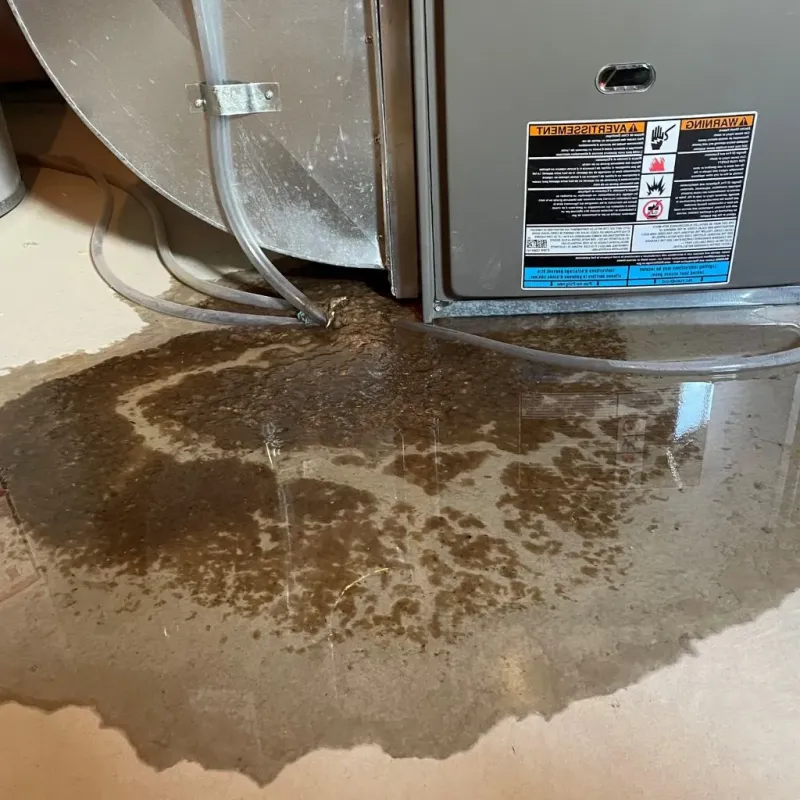 Pipe Burst and Leak Restoration in Paducah, TX