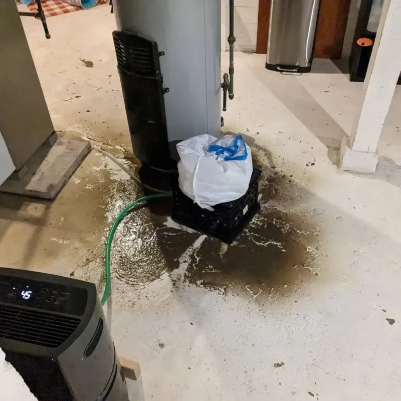 Sewage Backup Cleanup Service in Paducah, TX